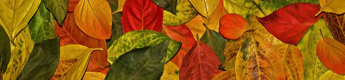 GREEN-CREST-BLOG: sito di informazione tecnico/scientifica, divulgativa/didattica, di fotografia e di immagini (a cura di Gian Carlo Perosino e di Patrizia Zaccara).