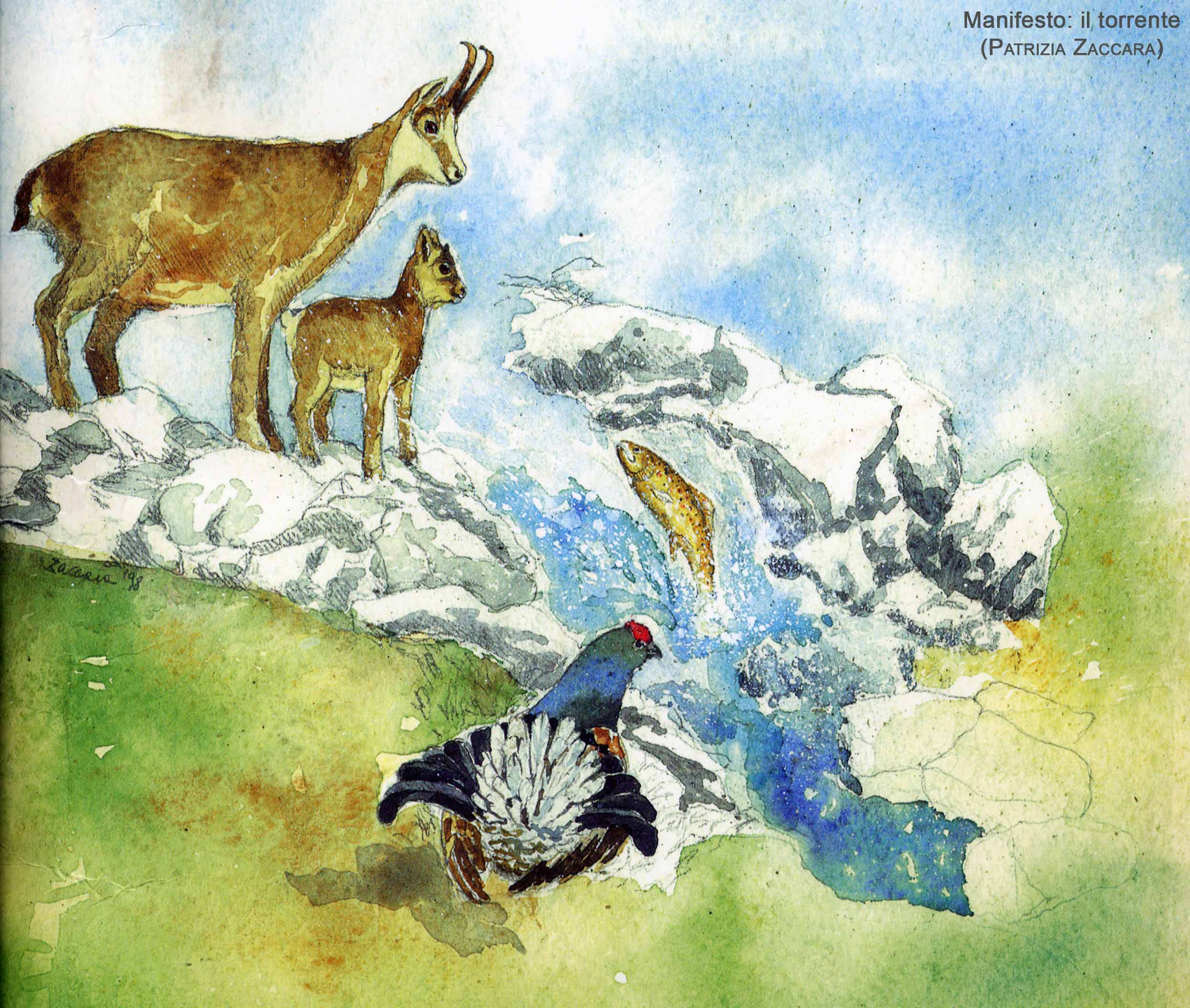 PZ - il torrente (manifesto) 2